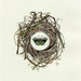 green butterfly nest original watercolor OOAK