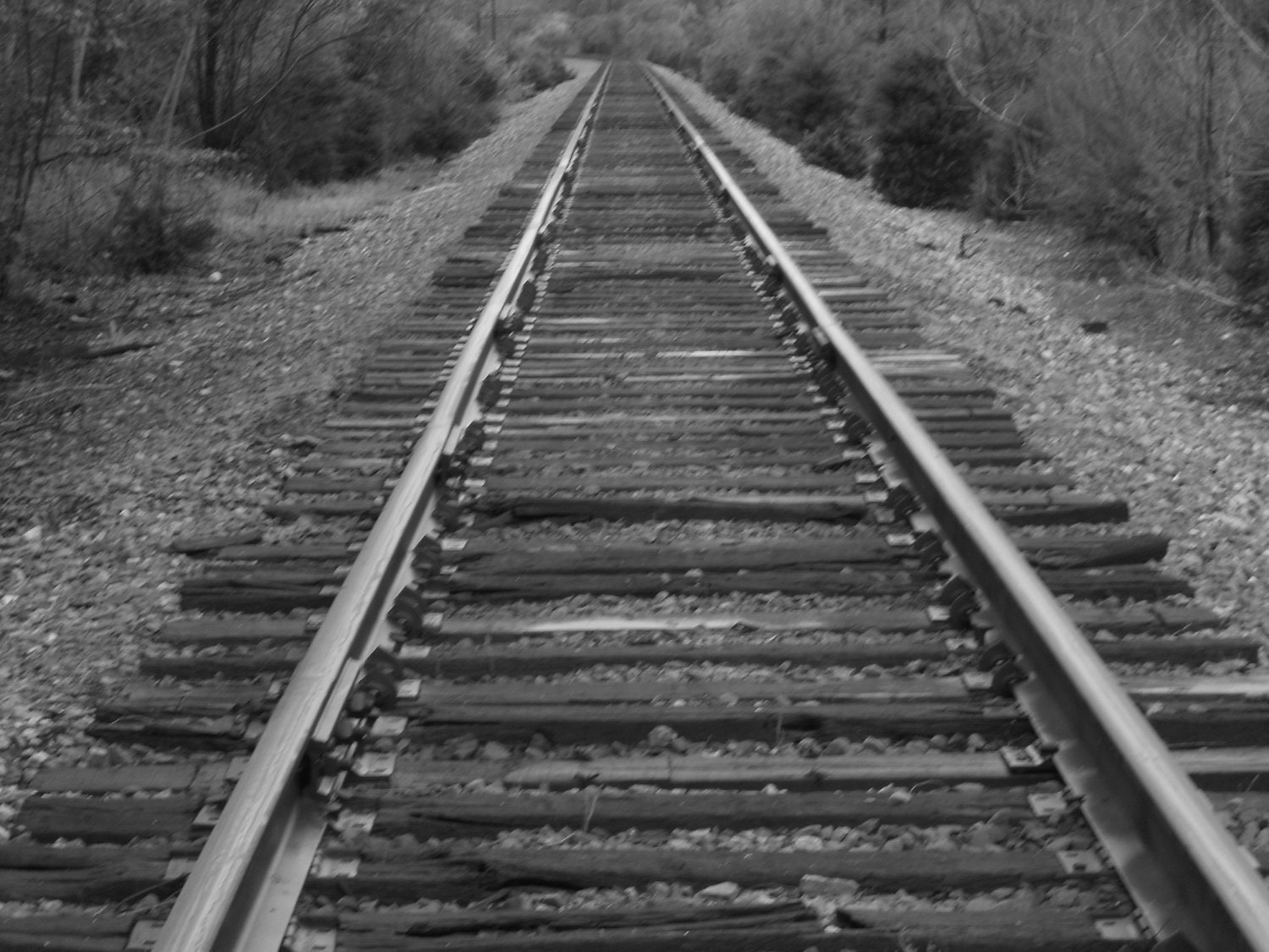 Railroad tracks Black and white 8x10 by brandiehanks on Etsy