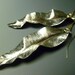 Fold Formed Sterling Silver Nature Earrings