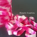 2 Yards Hot Pink Tie Dye 5/8 Inch Fold Over Elastic - foe - Headband Elastic - LIMITED QUANTITIES LEFT