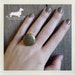 Botanical Garden. Adjustable Locket Ring -- (Gold, Vintage-Style, Simple, Bridesmaid Jewelry, Gift for Her Under 10)