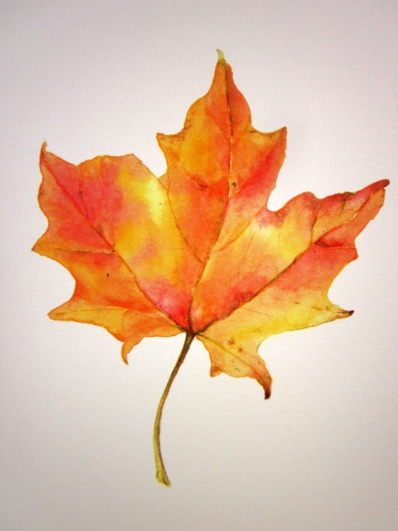 Giclee Print of Original Watercolor Painting Maple