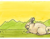 Viscacha illustration
