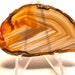 Group of 5 Agate geode slices group 5
