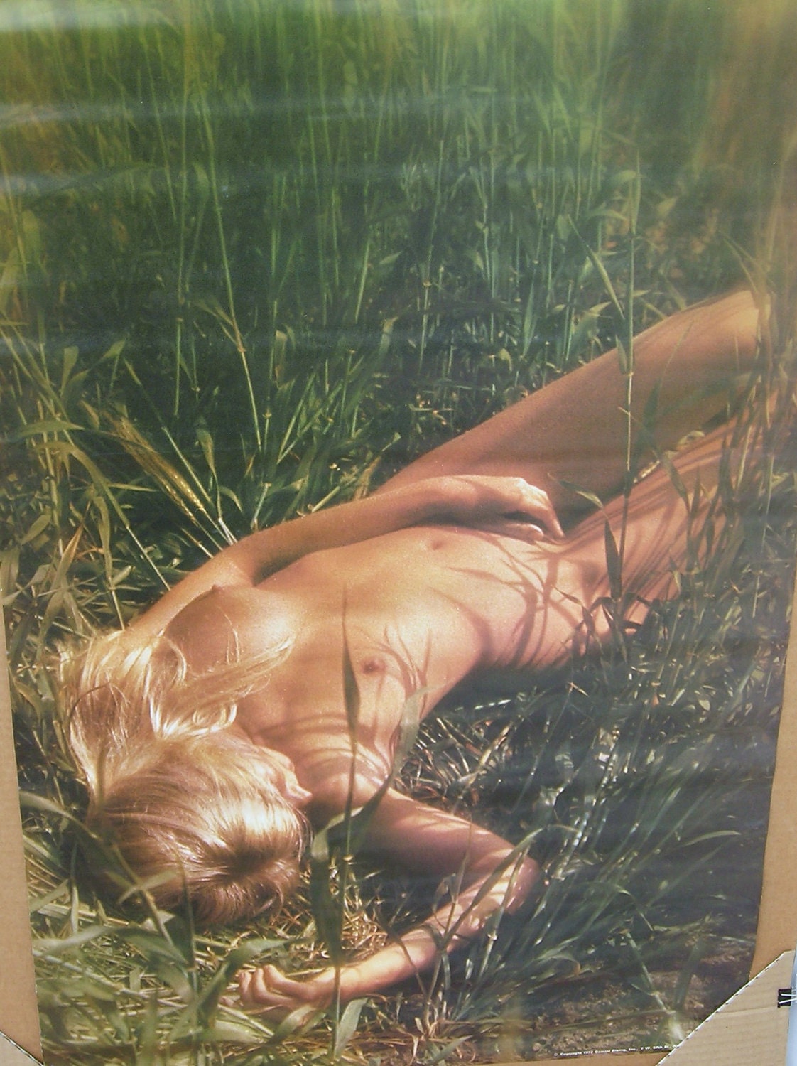 Porn teen sex picture Best facial suntan lotion