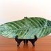 Large Green Ceramic Leaf (ceramic, pottery, art, handmade)