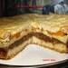 Vegan Apple Cinnamon cake with roasted apricots,peaches,raisins and vanilla cream,natural and healthy ingredients.