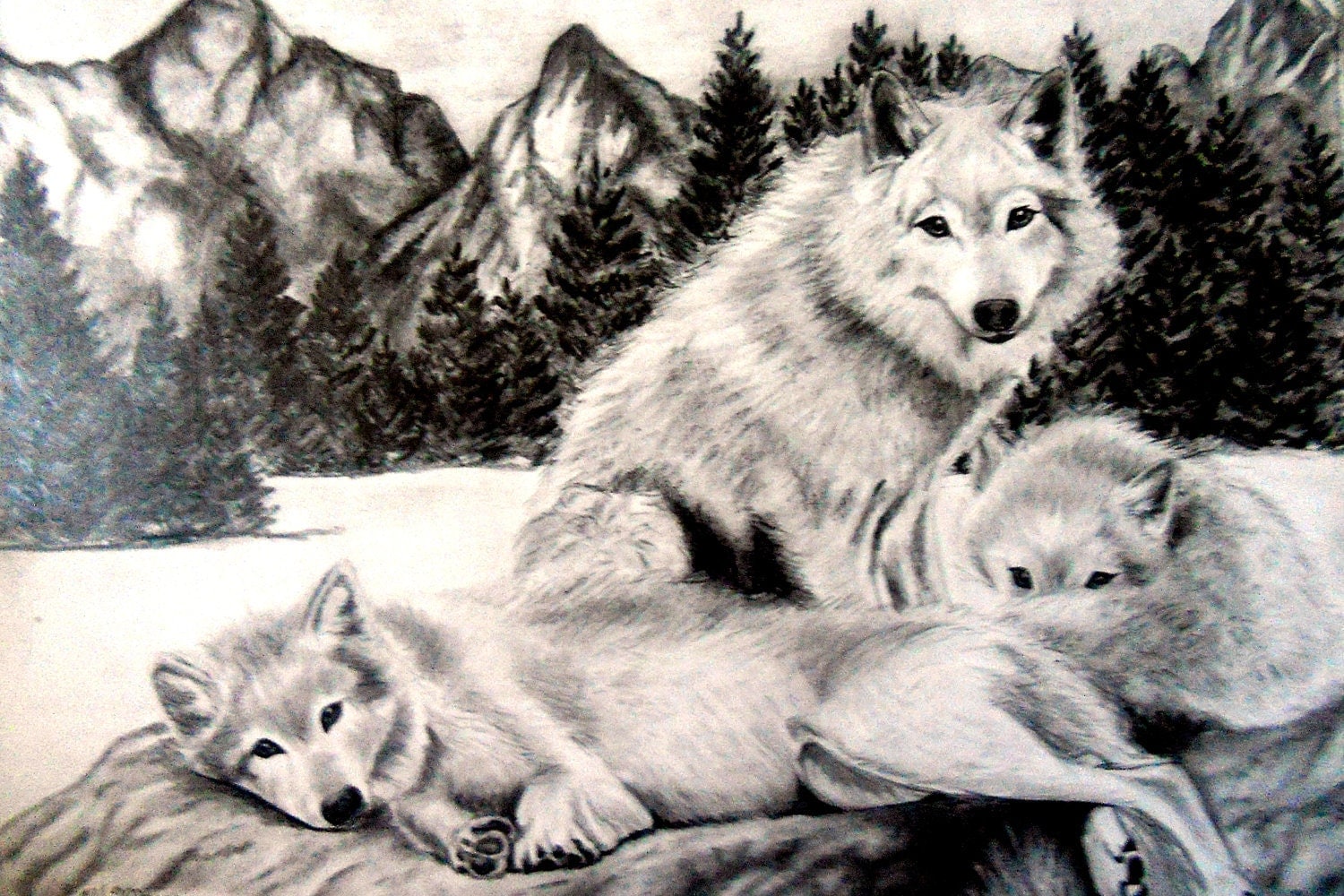 Drawing of Three Wolves in Pencil 8x10 Inches Mat Included