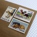 Vintage un-used - Dogs Dogs Dogs - and a kitten - postage stamps for the animal lover - to post 5 letters