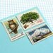 Vintage un-used - Back to Nature - postage stamps to post 5 letters