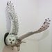 Bird Carving Owl - Hand Carved Full-Size Snowy Owl Wall Mounted on Walnut Plaque