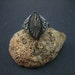 Fine Silver Ring,oxidized