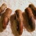 5 Real Bone Beaver Claws Taxidermy Genuine Bones