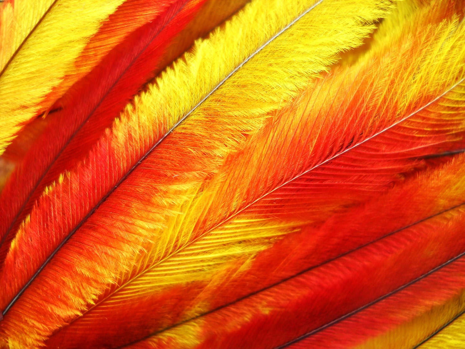 10 Tie Dye Feather Extensions CRUELTY FREE Orange Red and