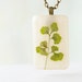 Real Fern Leaf pendant - botanical gift for nature lovers - Pressed Asplenium ruta-muraria