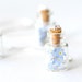 Real Forget-me-not Flowers in Bottle Necklace - Blue Dried Wood Forget me not in Glass Bottle