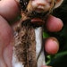 sweet wrapped fairie fairy babee baby ooak