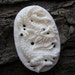 20% Anniversary Sale Hand Carved Asian Dragon, Bone Carving, Jewelry making Supplies S1045