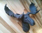 Items similar to Brown Moose Head Wall Mount on Etsy