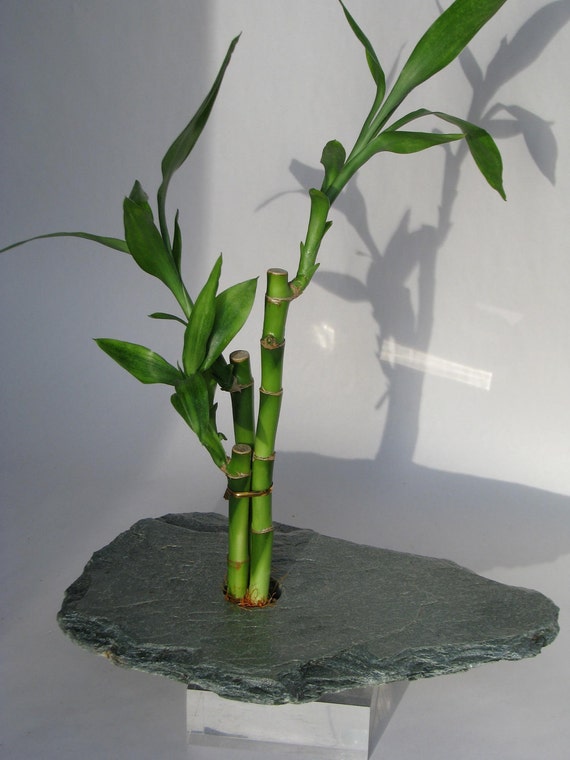 Ikebana Green Slate Vase with Pin Frog by DesignsUndertheSun