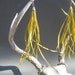 Yellow Feather Earrings- Silver earring hook with long thin feathers