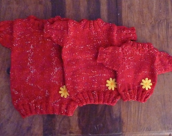 Dog red sweater hand kniting wool