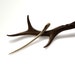 Hair Stick Fork Deer Antler Horn Carving Hairpin Hair Accessory Tribal MariyaArts