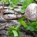 GPS Latitude Longitude Personalized Leather Bracelet New Mom Mothers Day Wife Girlfriend Anniversary Gift