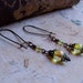 Garden Lantern Earrings