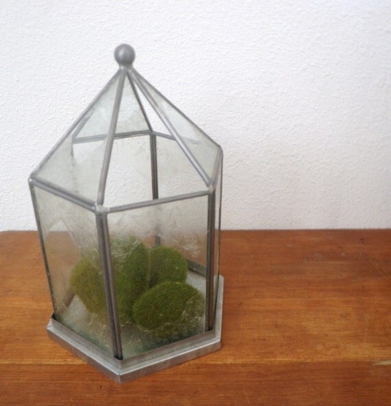 Vintage Glass Terrarium 4