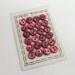 Vintage buttons mother of pearl, 24 pieces burgundy small