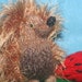 Miniature Knitted Hedgehog and Strawberry Doll Set - Spikey Brown Hedgehog toy and Strawberry Knit - Animal Amigurumi