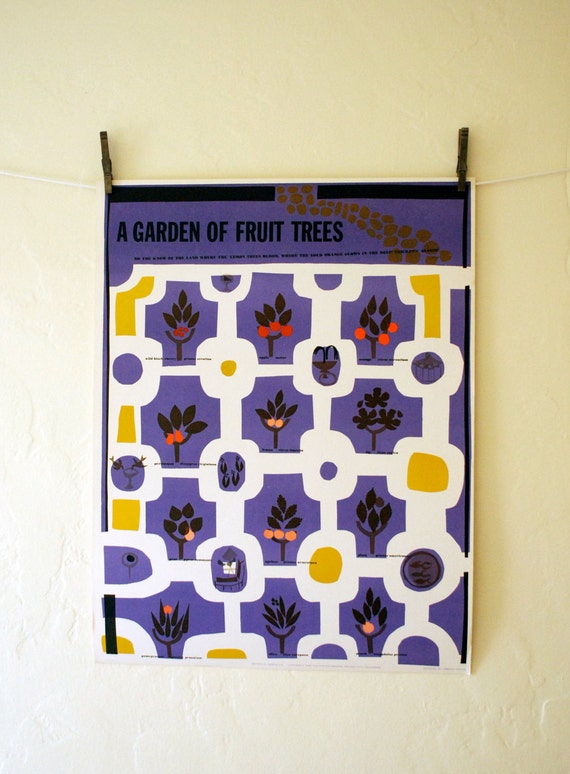 A Garden of Fruit Trees - part of the Botanical Series, Vintage 1963 poster by Osborn Woods