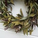 Wedding Wreath - Flowering Dogwood - Red Osier Dogwood, Golden Chinquapin, Beechnut & Heal-all