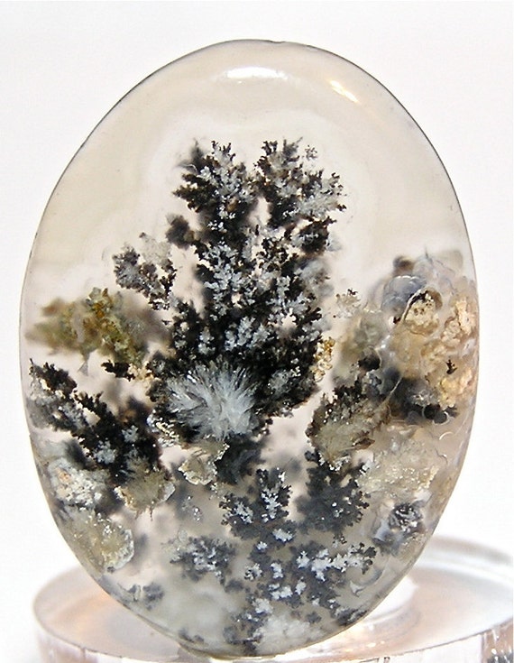 21 carat Black and White Dendrites Texas Plume by FenderMinerals