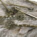 FREE SHIPPING--30pcs Antique Bronze Round Bases bobby pins Round filigree pad size 17mm ,blank setting With round pad,hairpin findings