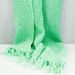 RESERVED For KATY Weekend SALE Beautiful Mint Green Vintage Afghan Throw