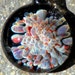 Glass Boro Pendant Jewelry Necklace Implosion Blue Red PurpleFREE Shipping