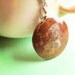 SALE- Rare Fossilized Cephalopod. Minimalist. Octopus. Natural Stone. Silver. Rustic. Brown. Tan. Round. Summer. History. Long Necklace.
