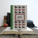 Kindle Cover or Nook Cover- Ereader Case made from a Book- Black Beauty