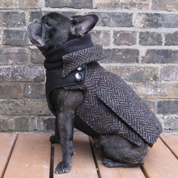 Items similar to The City Coat - Adult Boys French Bulldog