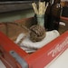 vintage wooden coca-cola crate & rope