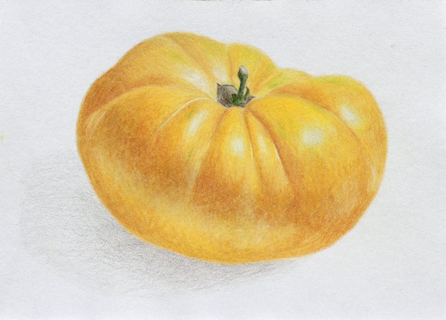 Yellow Heirloom Tomato print