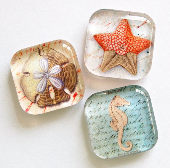 Beach Fridge Glass Glass Beach