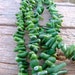 1 Full Strand Apple Green 6-10mm Coral Beads