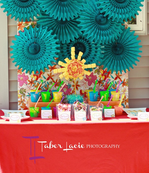 INSTANT DOWNLOAD Printable Summer Fun Birthday Party Package...by Party Like Paula Il_570xn