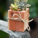 3x3" Succulent Planter Box - Redwood - great for centerpieces.