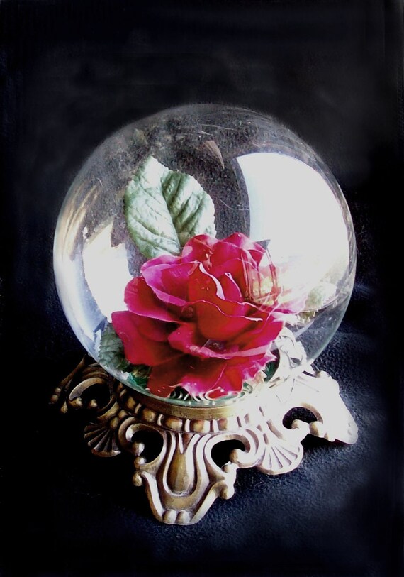 my crystal ball rose flower display water globe with