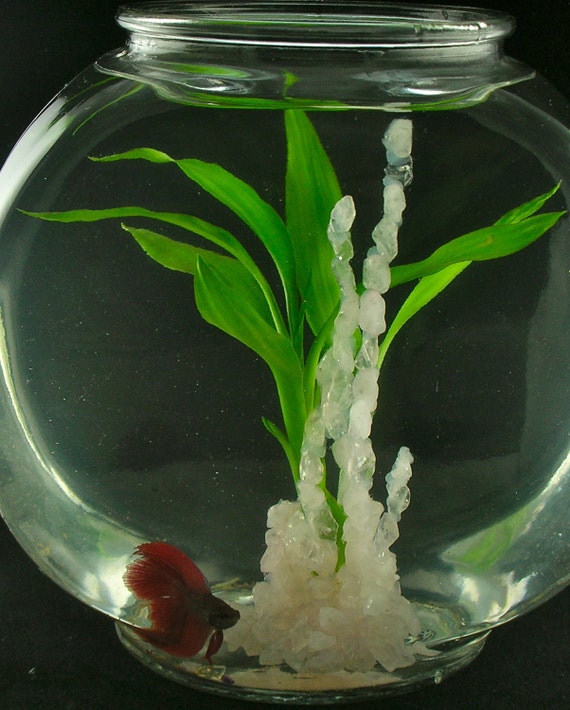 Rose quartz gemstone crystal aquarium decoration also for