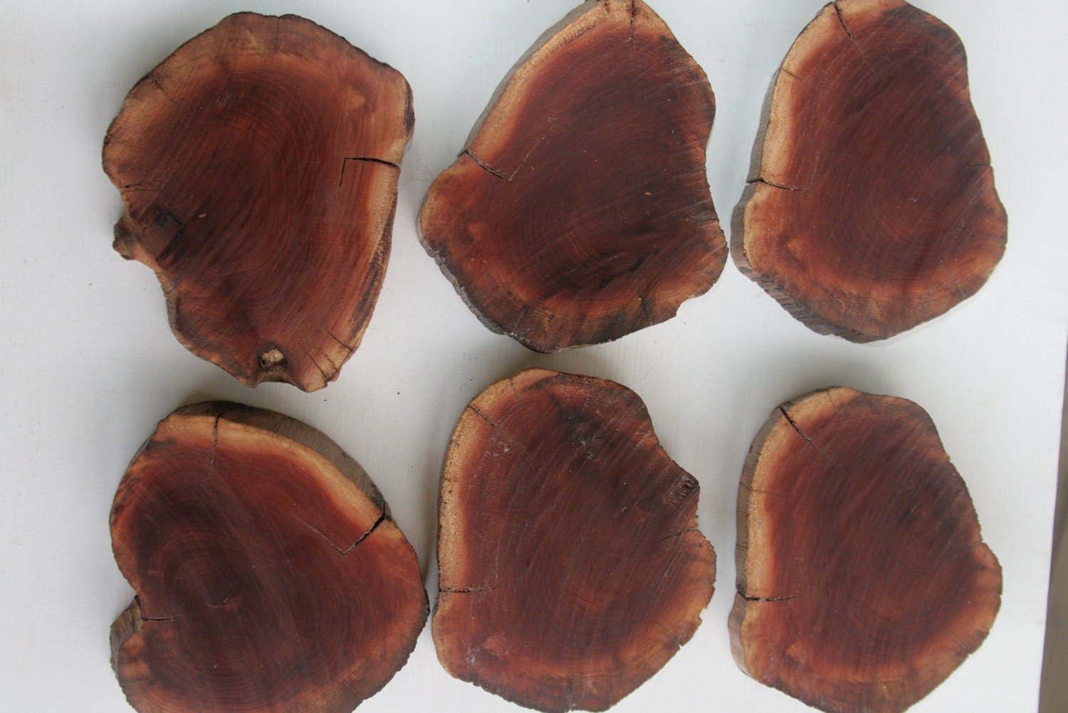 Natural Wood Manzanita Coasters by NaturePeople on Etsy